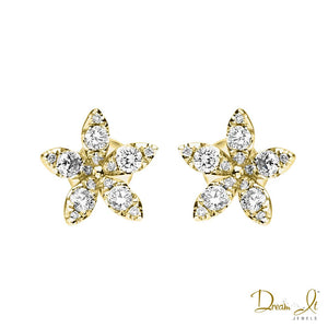 14 Karat Yellow Gold and Diamond (0.64ct) Star Shape Earrings | Dream It Jewels